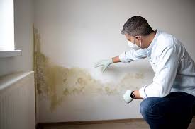  Matheny, CA Mold Removal Pros